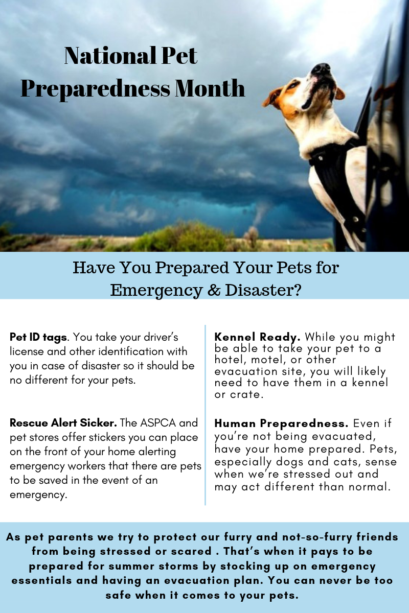 Pet Preparedness Month