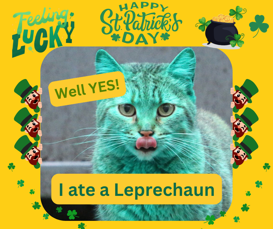 i ate a leprechaun